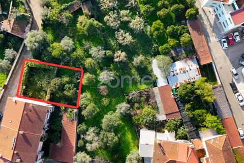 Villa i Coimbra, Coimbra, Coimbra - € 355.000 | Ref: ZMPT588533 - foto 4