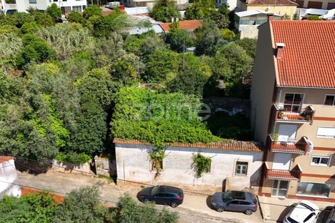 Villa i Coimbra, Coimbra, Coimbra - € 355.000 | Ref: ZMPT588533 - foto 6