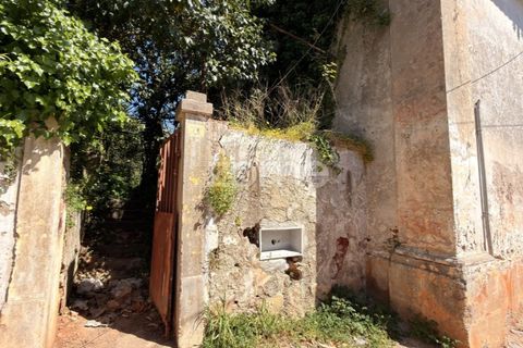 Villa i Coimbra, Coimbra, Coimbra - € 355.000 | Ref: ZMPT588533 - foto 9
