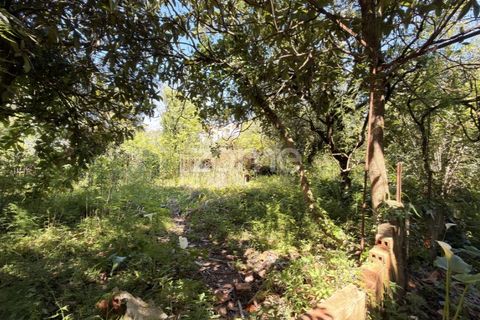 Villa i Coimbra, Coimbra, Coimbra - € 355.000 | Ref: ZMPT588533 - foto 10