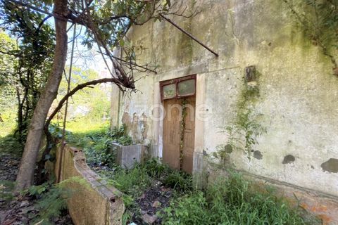 Villa i Coimbra, Coimbra, Coimbra - € 355.000 | Ref: ZMPT588533 - foto 11