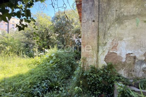 Villa i Coimbra, Coimbra, Coimbra - € 355.000 | Ref: ZMPT588533 - foto 12