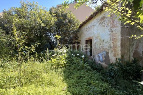 Villa i Coimbra, Coimbra, Coimbra - € 355.000 | Ref: ZMPT588533 - foto 13