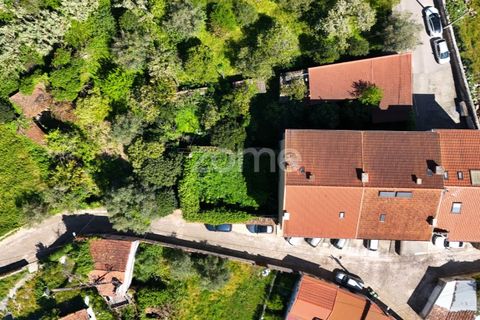 Villa i Coimbra, Coimbra, Coimbra - € 355.000 | Ref: ZMPT588533 - foto 14