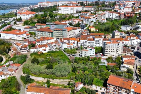 Villa i Coimbra, Coimbra, Coimbra - € 355.000 | Ref: ZMPT588533 - foto 17
