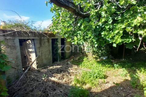 Villa a Luso, Aveiro, Luso - € 48.000 | Ref: ZMPT588412 - foto 3