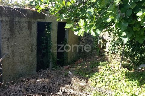 Villa a Luso, Aveiro, Luso - € 48.000 | Ref: ZMPT588412 - foto 4