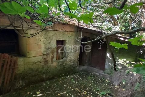 Villa a Luso, Aveiro, Luso - € 48.000 | Ref: ZMPT588412 - foto 5