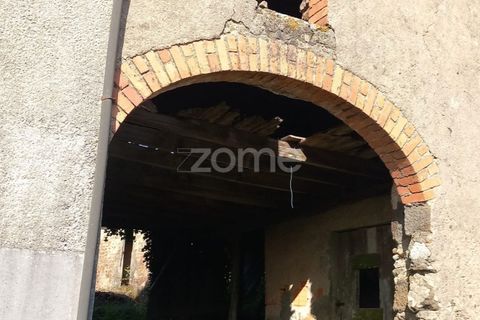 Villa a Luso, Aveiro, Luso - € 48.000 | Ref: ZMPT588412 - foto 16