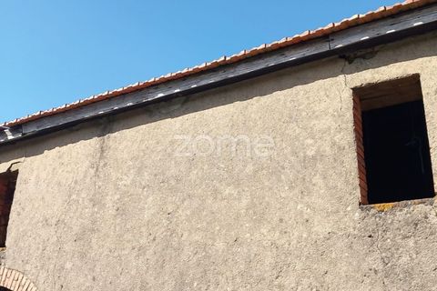 Villa a Luso, Aveiro, Luso - € 48.000 | Ref: ZMPT588412 - foto 17