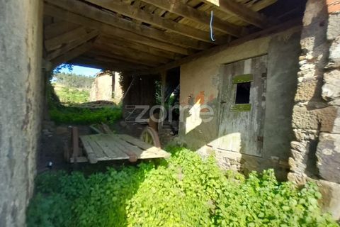 Villa a Luso, Aveiro, Luso - € 48.000 | Ref: ZMPT588412 - foto 18