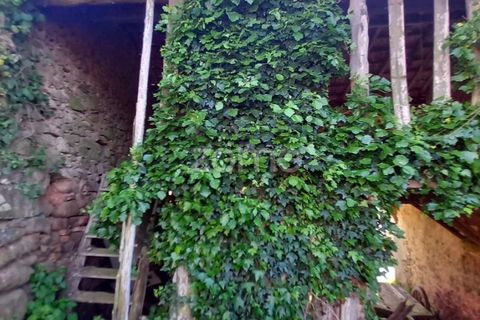 Villa a Luso, Aveiro, Luso - € 48.000 | Ref: ZMPT588412 - foto 19