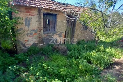 Villa a Luso, Aveiro, Luso - € 48.000 | Ref: ZMPT588412 - foto 24