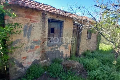 Villa a Luso, Aveiro, Luso - € 48.000 | Ref: ZMPT588412 - foto 25