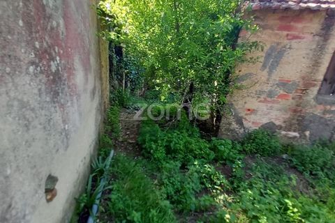 Villa a Luso, Aveiro, Luso - € 48.000 | Ref: ZMPT588412 - foto 26
