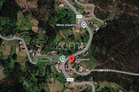 Villa a Luso, Aveiro, Luso - € 48.000 | Ref: ZMPT588412 - foto 28