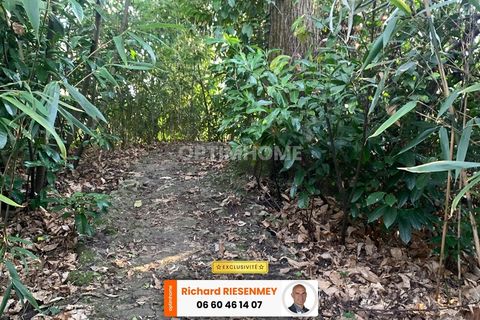 Villa i Saint-Cheron, Essonne, Saint-Cheron - € 8.000 | Ref: 830039629430 - foto 6
