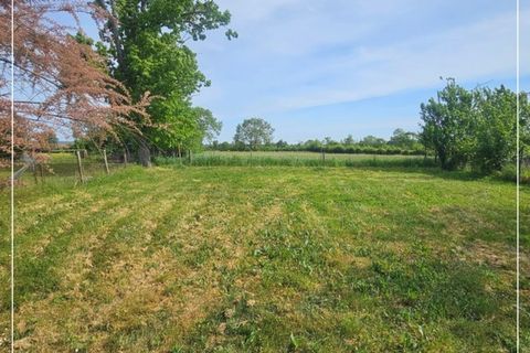 Gård i Marigny, Allier, Marigny - € 140 525 | Ref: 830030717261 - foto 23