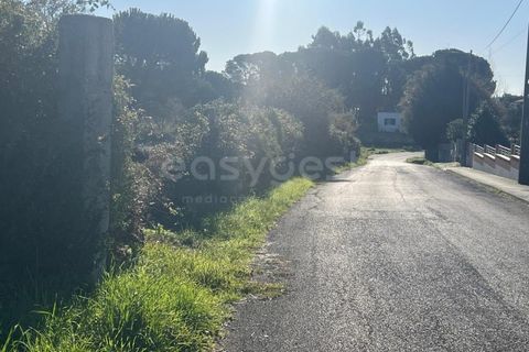 Tomt i Monte Real, Leiria, Monte Real - € 450 000 | Ref: LE99009NZ - foto 4