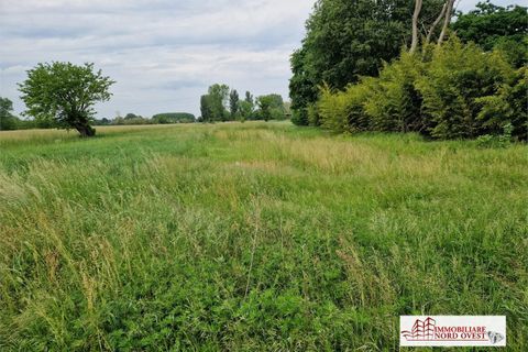 Helårsgrund i Corbetta, Milan, Corbetta - € 19.500 | Ref: TERRENO.CORBETTA - foto 1