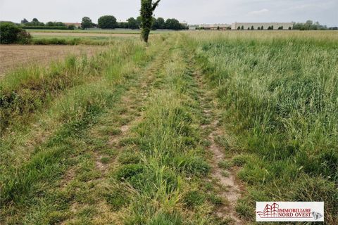 Helårsgrund i Corbetta, Milan, Corbetta - € 19.500 | Ref: TERRENO.CORBETTA - foto 2