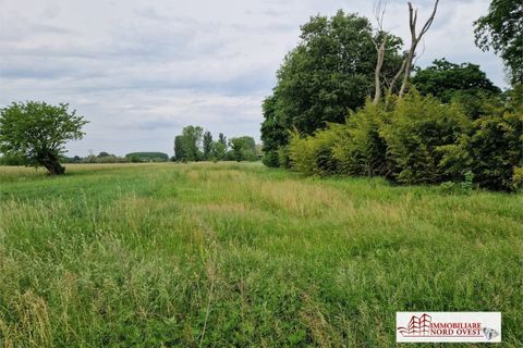 Helårsgrund i Corbetta, Milan, Corbetta - € 19.500 | Ref: TERRENO.CORBETTA - foto 4