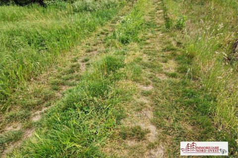 Helårsgrund i Corbetta, Milan, Corbetta - € 19.500 | Ref: TERRENO.CORBETTA - foto 5