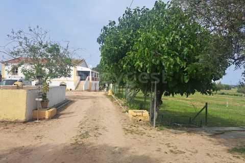 Gård i Beja, Beja, Beja - € 950 000 | Ref: BJ99152 - foto 2