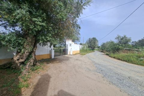 Gård i Beja, Beja, Beja - € 950 000 | Ref: BJ99152 - foto 3