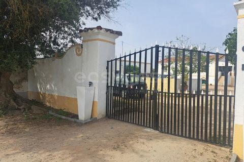 Gård i Beja, Beja, Beja - € 950 000 | Ref: BJ99152 - foto 4