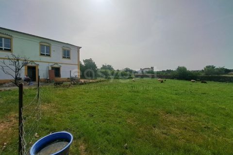 Gård i Beja, Beja, Beja - € 950 000 | Ref: BJ99152 - foto 9