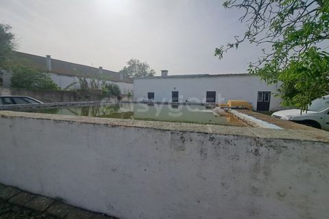 Gård i Beja, Beja, Beja - € 950 000 | Ref: BJ99152 - foto 10