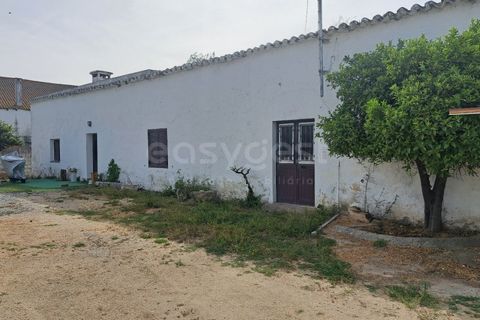 Gård i Beja, Beja, Beja - € 950 000 | Ref: BJ99152 - foto 11