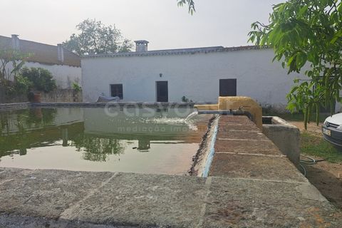 Gård i Beja, Beja, Beja - € 950 000 | Ref: BJ99152 - foto 12
