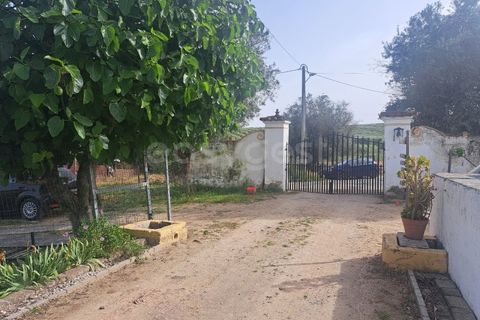 Gård i Beja, Beja, Beja - € 950 000 | Ref: BJ99152 - foto 13