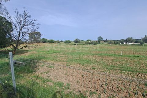 Gård i Beja, Beja, Beja - € 950 000 | Ref: BJ99152 - foto 14