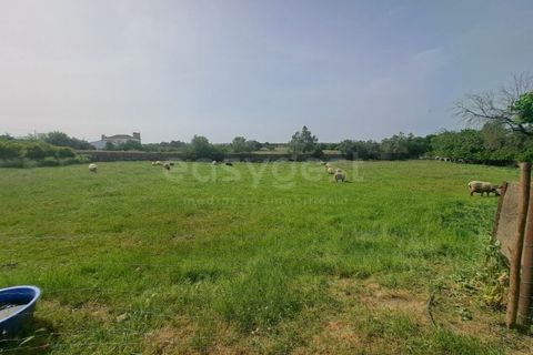 Gård i Beja, Beja, Beja - € 950 000 | Ref: BJ99152 - foto 16