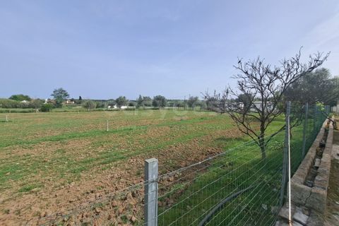 Gård i Beja, Beja, Beja - € 950 000 | Ref: BJ99152 - foto 17