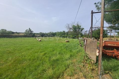 Gård i Beja, Beja, Beja - € 950 000 | Ref: BJ99152 - foto 18