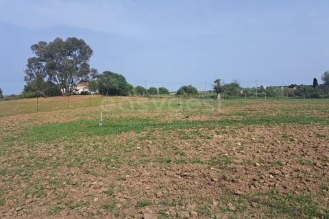 Gård i Beja, Beja, Beja - € 950 000 | Ref: BJ99152 - foto 19