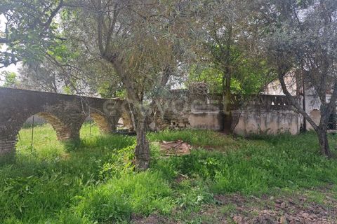 Gård i Beja, Beja, Beja - € 950 000 | Ref: BJ99152 - foto 20