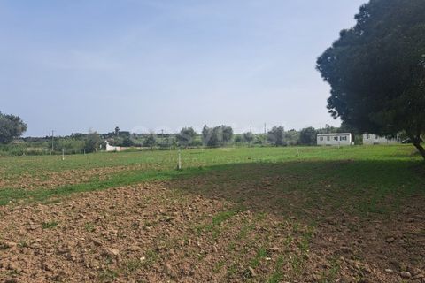 Gård i Beja, Beja, Beja - € 950 000 | Ref: BJ99152 - foto 21