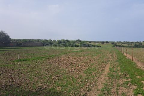 Gård i Beja, Beja, Beja - € 950 000 | Ref: BJ99152 - foto 22
