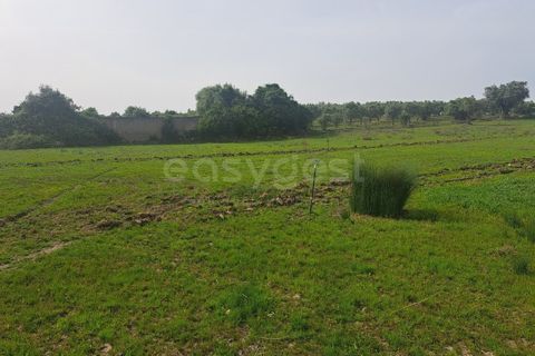 Gård i Beja, Beja, Beja - € 950 000 | Ref: BJ99152 - foto 26