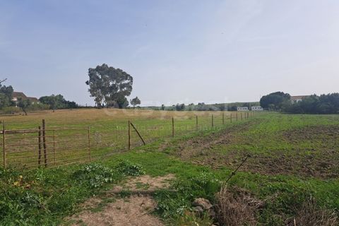 Gård i Beja, Beja, Beja - € 950 000 | Ref: BJ99152 - foto 28