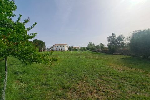Gård i Beja, Beja, Beja - € 950 000 | Ref: BJ99152 - foto 30