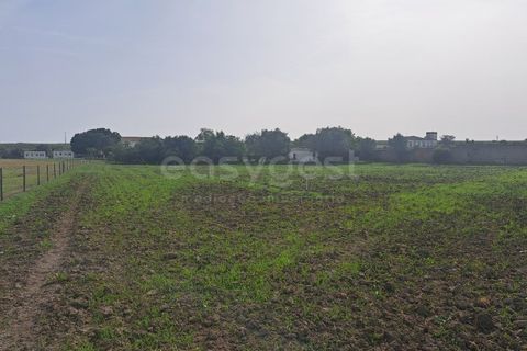 Gård i Beja, Beja, Beja - € 950 000 | Ref: BJ99152 - foto 31