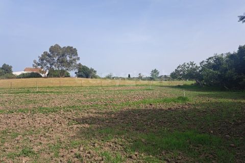 Gård i Beja, Beja, Beja - € 950 000 | Ref: BJ99152 - foto 32