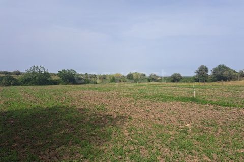 Gård i Beja, Beja, Beja - € 950 000 | Ref: BJ99152 - foto 34