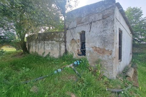 Gård i Beja, Beja, Beja - € 950 000 | Ref: BJ99152 - foto 35